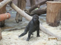 IMG_7561.jpg, 31kB